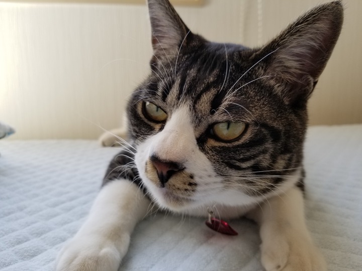 20190419_091602