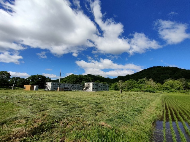 IMG20230619085033
