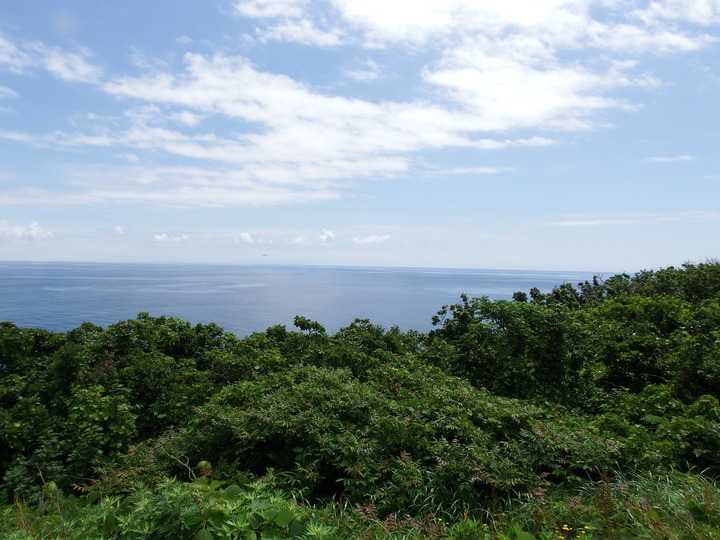 DSCF8600