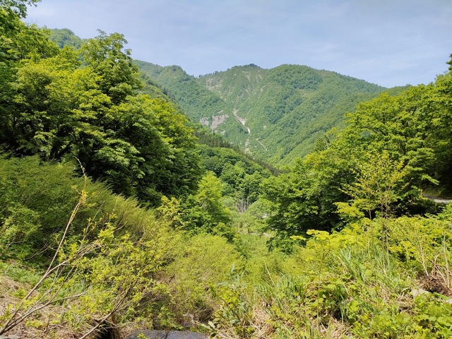 IMG20230521101518