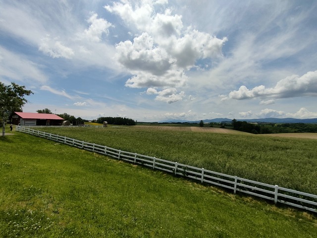 IMG20230616113844