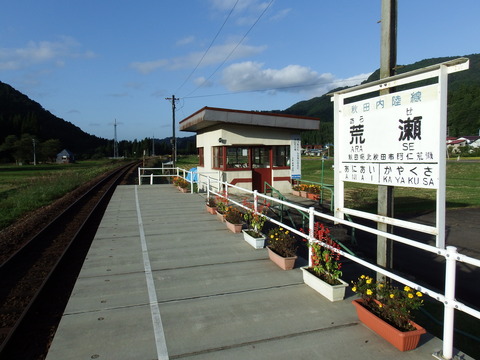 DSCF6523