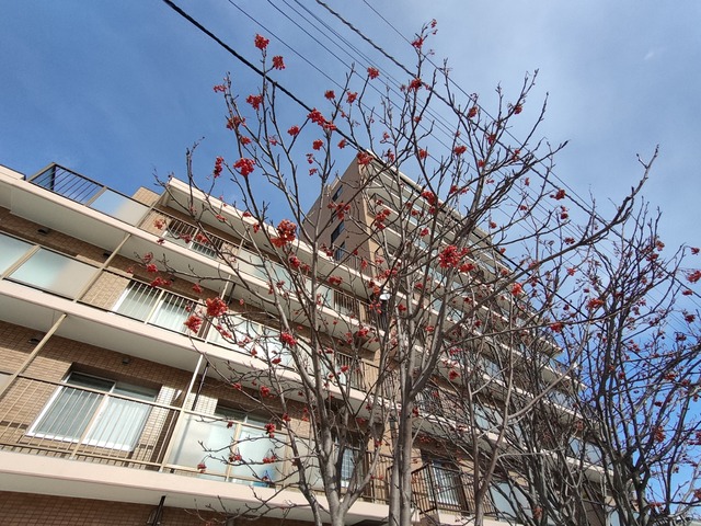 IMG20230202104331