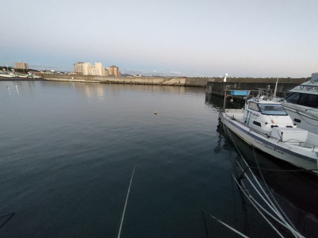 IMG20231109163349