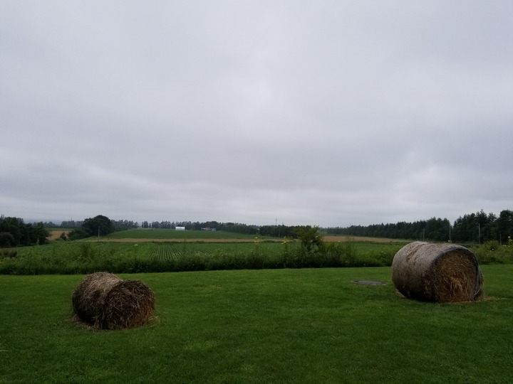 20200726_082627