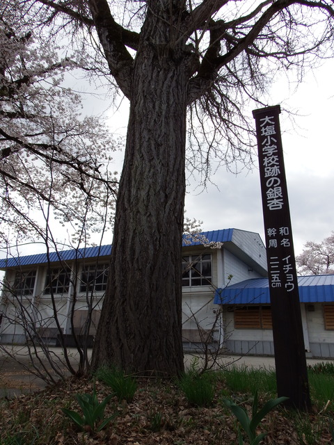 DSCF5032