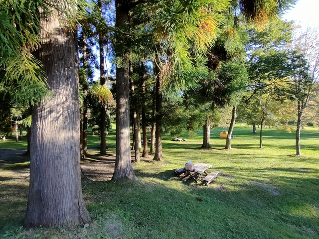 IMG20260916064726