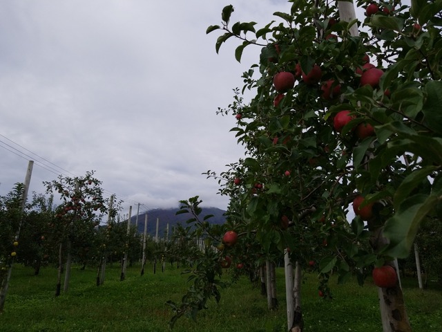 IMG_20211007_092502