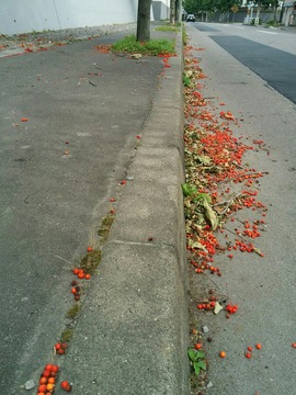 [画像:3d3e1a5b-s.jpg]