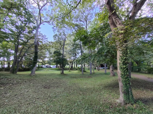 IMG20230922134629