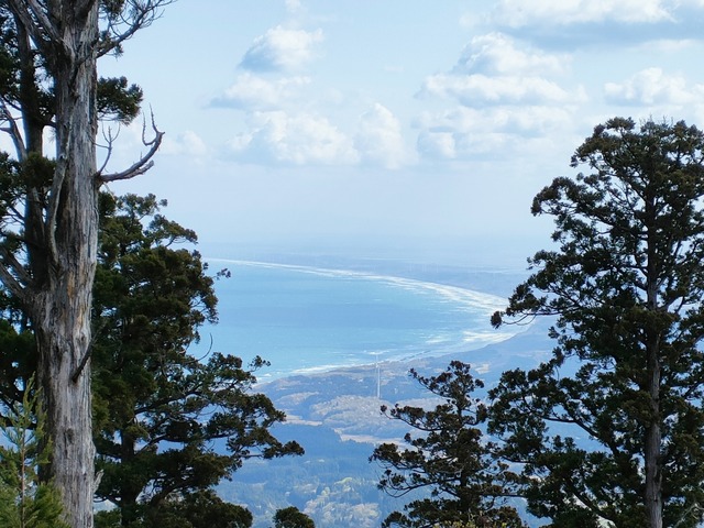 IMG20230422083124
