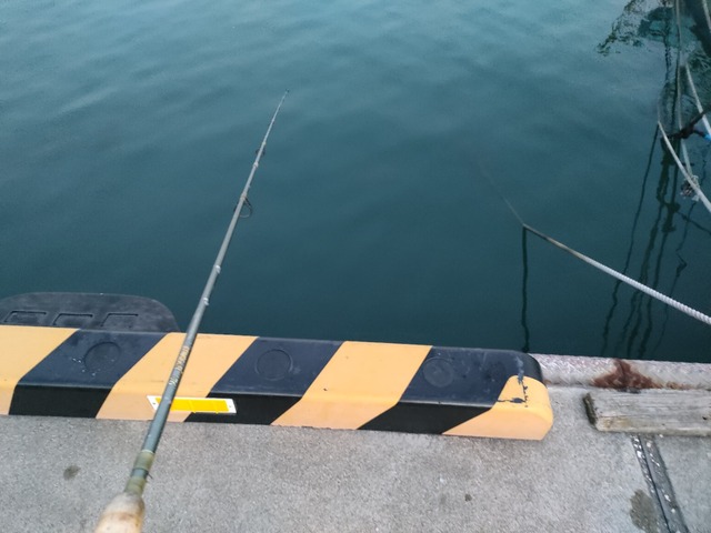 IMG20231109163340