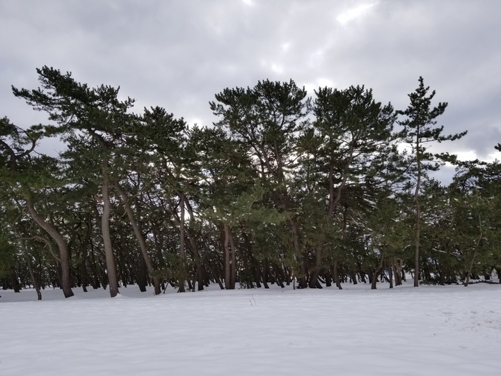 20190104_110308