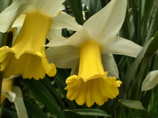 IMG20230504113318
