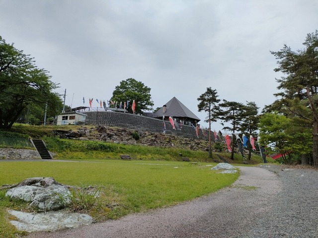 IMG20230519074538
