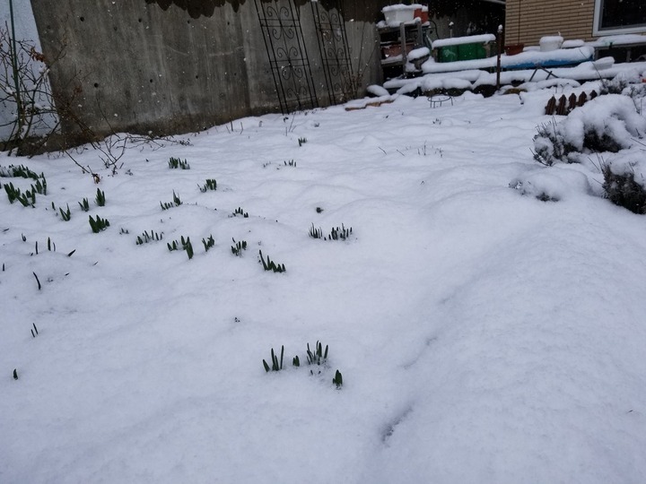 20190331_084039