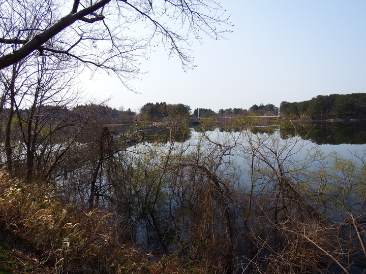 DSCF7980