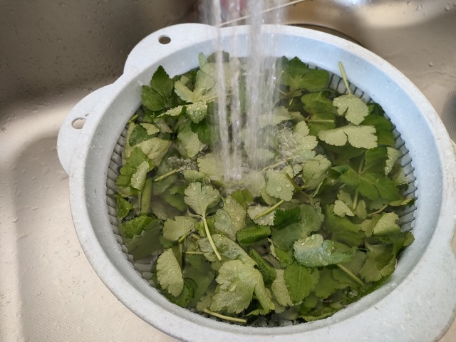 IMG20240501092923