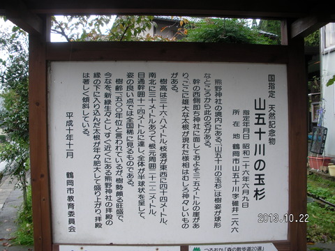 RIMG2620