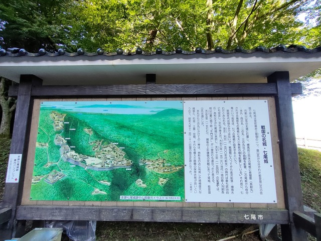 IMG20241012080617