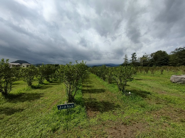 IMG20260824100819