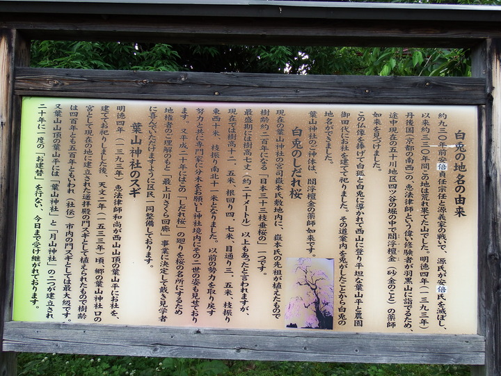 DSCF8672