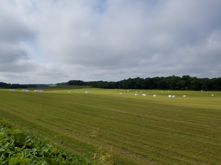 20200721_082606