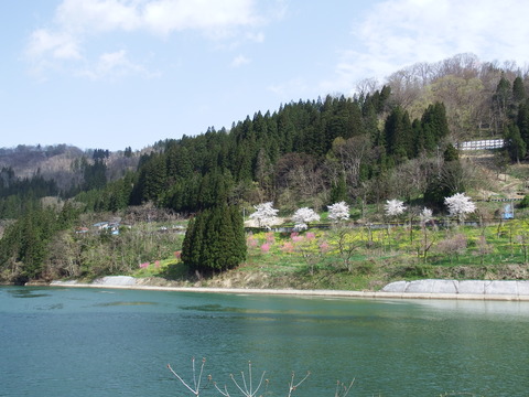DSCF5016