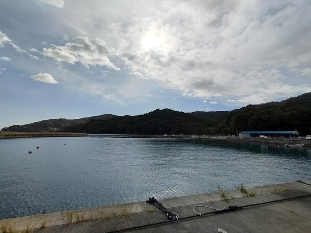 IMG20231017091629