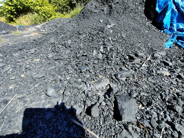 IMG20230620080951