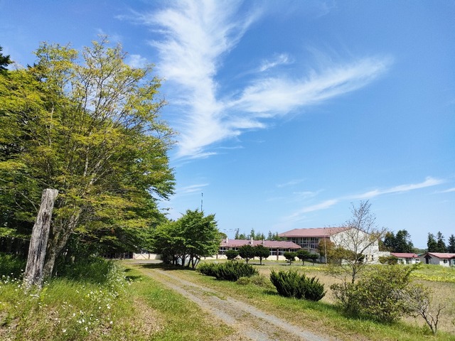IMG20250713094951