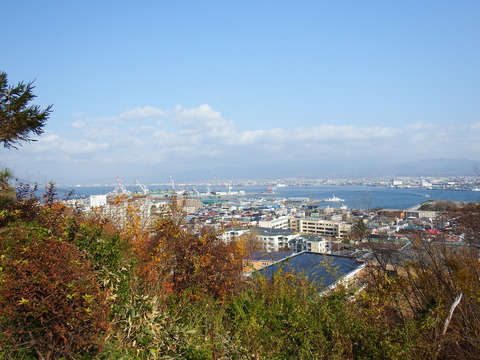 DSCF7610