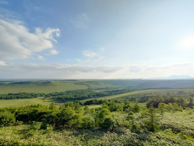 IMG20250711171903