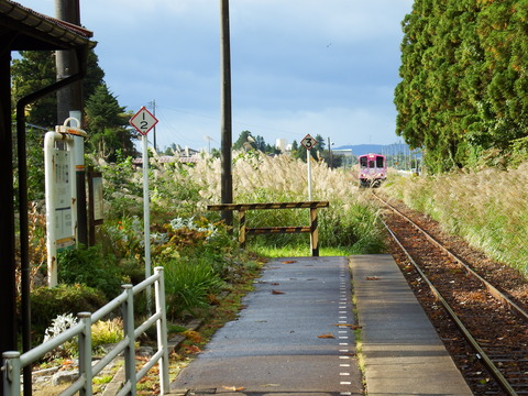 DSCF6590
