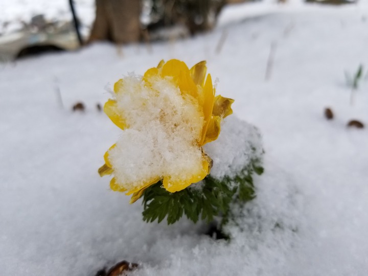 20190331_084006