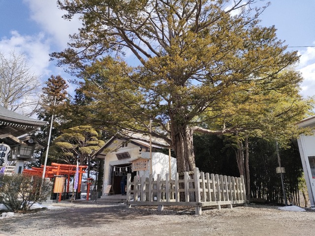 IMG20240316101226