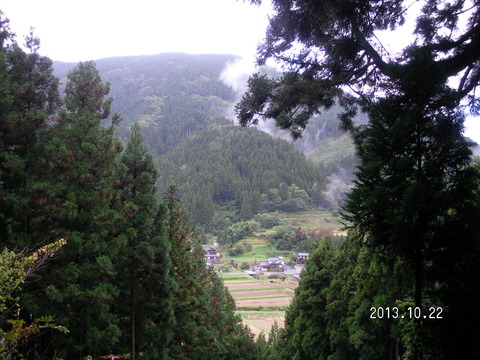 RIMG2622