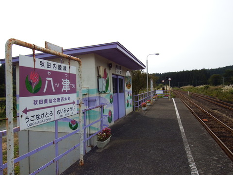 DSCF6567