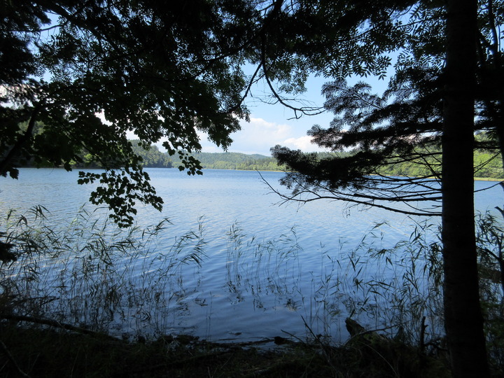 IMG_4499