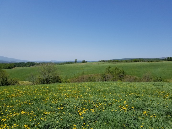 20190525_113648