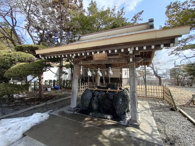 IMG20240316102351