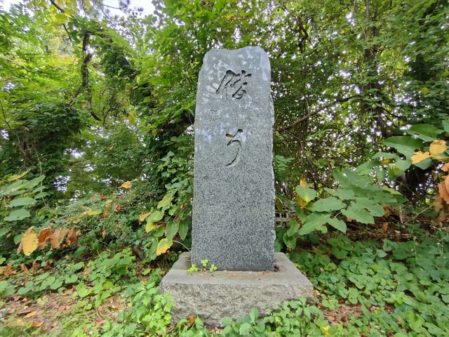 IMG20260918102219
