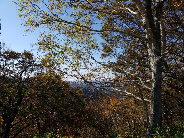 IMG_20211010_092816