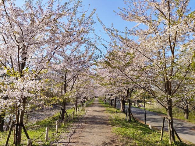 IMG20230423071949