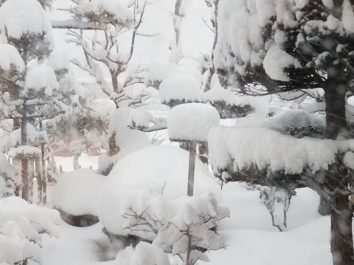 20190124_070450