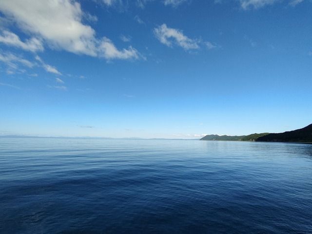 IMG20230619065029