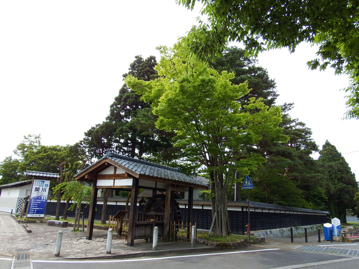 DSCF8663