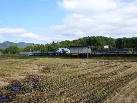 DSCF6504