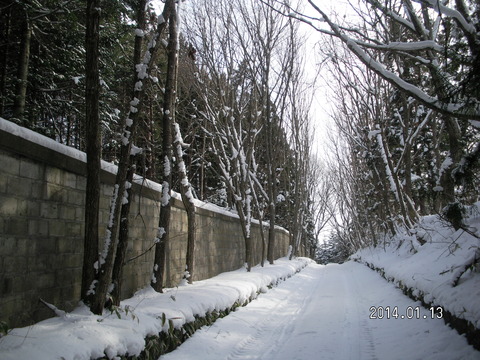 RIMG2827