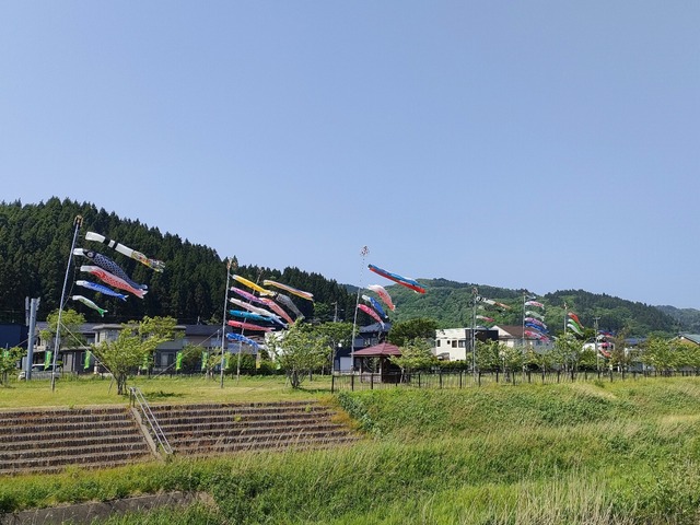 IMG20230517132735